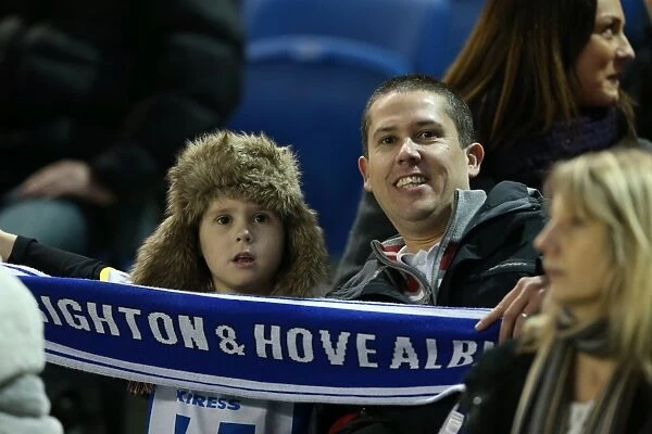 Brighton & Hove Albion vs. Leicester City (2013-14): Home Game Highlights (07-12-2013)