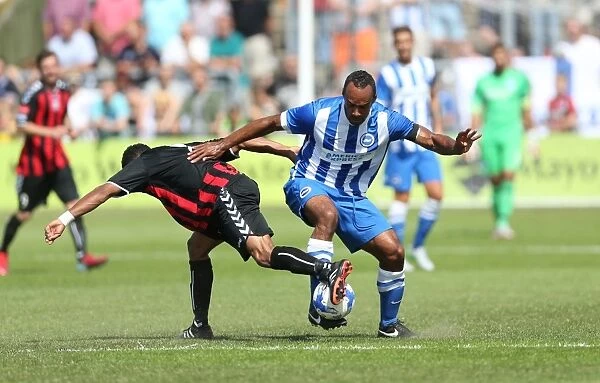 Brighton and Hove Albion vs. Lewes: Pre-Season Friendly Clash at Dripping Pan (18th July 2015)