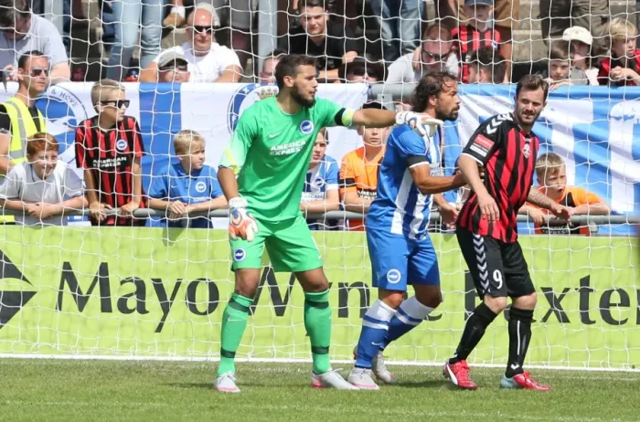 Framed Print : Brighton and Hove Albion vs Lewes: Pre-Season Friendly Clash at Dripping Pan (18th July 2015) Framed Print : Brighton and Hove Albion vs Lewes: Pre-Season Friendly Clash at Dripping Pan (18th July 2015)