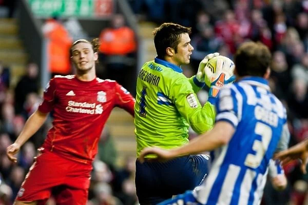 Brighton & Hove Albion vs. Liverpool: 2011-12 FA Cup Away Game Highlights