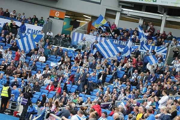 Brighton and Hove Albion vs Middlesbrough: A Sea of Passion in the South West Corner (18OCT14)