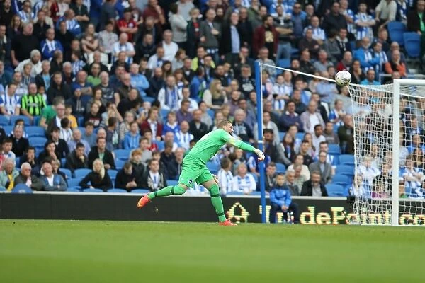 Brighton and Hove Albion vs Middlesbrough: David Stockdale in Action