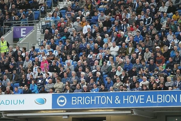 Brighton and Hove Albion vs Middlesbrough: A Sea of Passionate Fans (18OCT14)