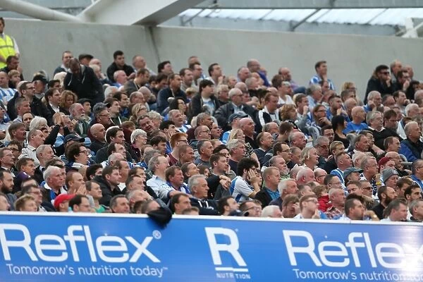 Brighton and Hove Albion vs Middlesbrough: A Sea of Passionate Fans (18OCT14)