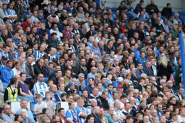 Brighton and Hove Albion vs Middlesbrough: Passionate Fan Clash at the American Express Community Stadium (18th October 2014)