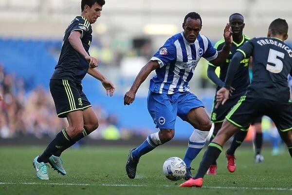 Brighton & Hove Albion vs Middlesbrough: Chris O'Grady in Action, October 18, 2014