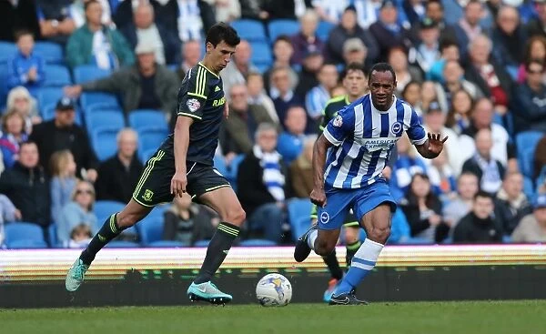Brighton & Hove Albion vs Middlesbrough: Chris O'Grady in Action, October 18, 2014