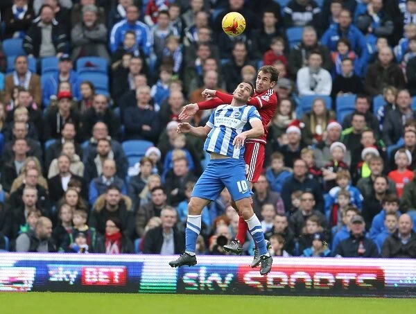 Brighton and Hove Albion vs. Middlesbrough: Sky Bet Championship Battle at American Express Community Stadium (19DEC15)
