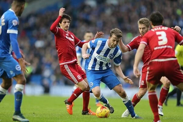 Brighton and Hove Albion vs. Middlesbrough: Sky Bet Championship Battle at American Express Community Stadium (19DEC15)