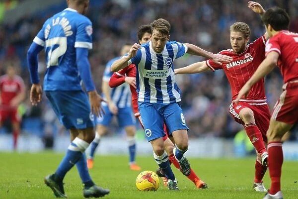Brighton and Hove Albion vs. Middlesbrough: A Fight in the Sky Bet Championship (19DEC15)