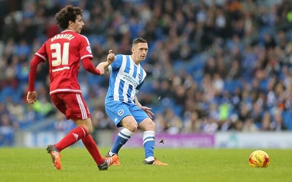 Brighton and Hove Albion vs. Middlesbrough: A Fight in the Sky Bet Championship (19DEC15)