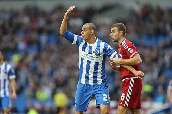 Brighton and Hove Albion vs. Middlesbrough: Sky Bet Championship Showdown at American Express Community Stadium (19DEC15)