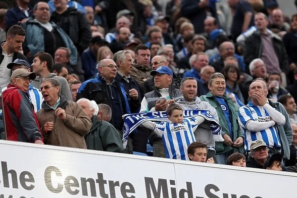 Brighton & Hove Albion vs. Middlesbrough (2012-13): Reliving the Excitement of Our Home Game