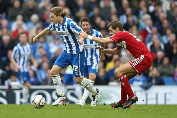 Brighton & Hove Albion vs Middlesbrough: Craig Mackail-Smith in Action, October 20, 2012