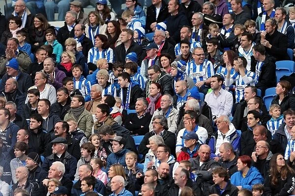 Brighton & Hove Albion vs. Middlesbrough: 2012-13 Home Game
