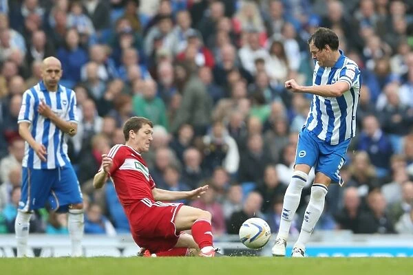 Brighton & Hove Albion vs Middlesbrough: 2012-13 Home Game