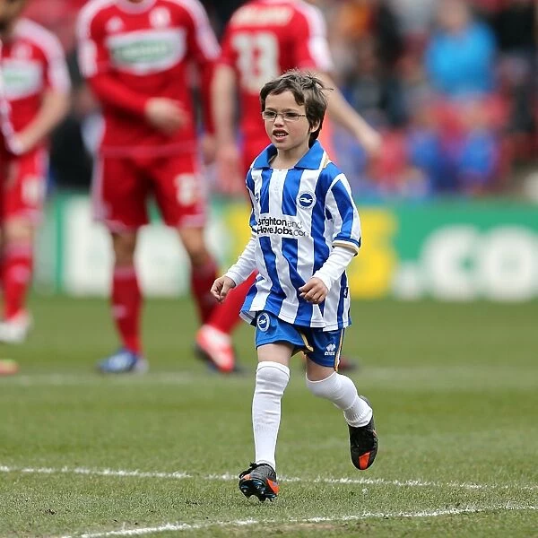 Brighton & Hove Albion vs. Middlesbrough: 2013 Away Game