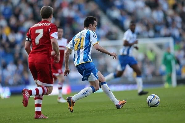 Brighton & Hove Albion vs. Middlesbrough (2013-14 Season): Home Game Highlights (March 29)