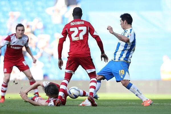 Brighton & Hove Albion vs. Middlesbrough: 2013-14 Home Game