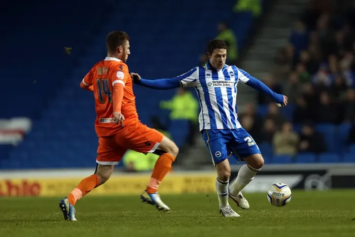 Framed Print : Brighton & Hove Albion vs Millwall, December 18, 2012: Wayne Bridge in the Amex Stadium Forest Framed Print : Brighton & Hove Albion vs Millwall, December 18, 2012: Wayne Bridge in the Amex Stadium Forest