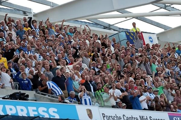 Brighton & Hove Albion vs Millwall: Home Game - August 31, 2013