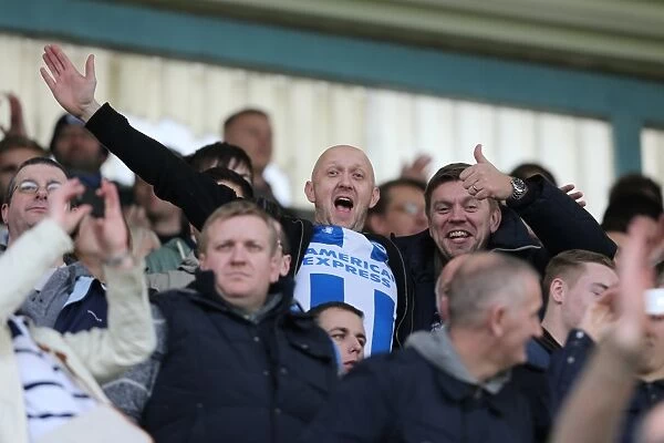 Brighton & Hove Albion vs. Millwall: Away Game, March 1, 2014