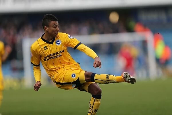 Brighton & Hove Albion vs Millwall: Away Game, March 1, 2014 (Millwall 01-03-2014)