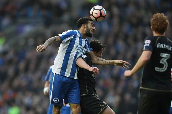 Brighton and Hove Albion vs Milton Keynes Dons: FA Cup 3rd Round Clash at American Express Community Stadium (January 2017)