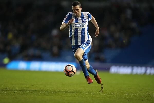 Brighton and Hove Albion vs Milton Keynes Dons: FA Cup Third Round Battle at American Express Community Stadium (December 2016)