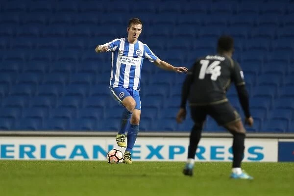 Brighton and Hove Albion vs Milton Keynes Dons: FA Cup 3rd Round Clash at American Express Community Stadium (January 2017)