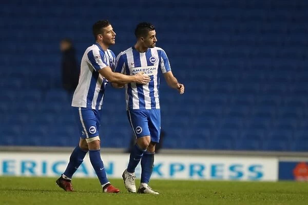 Brighton and Hove Albion vs Milton Keynes Dons: FA Cup 3rd Round Battle at American Express Community Stadium (January 2017)