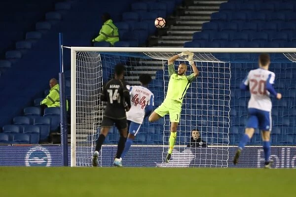 Brighton and Hove Albion vs. Milton Keynes Dons: FA Cup 3rd Round Battle at American Express Community Stadium (January 7, 2017)