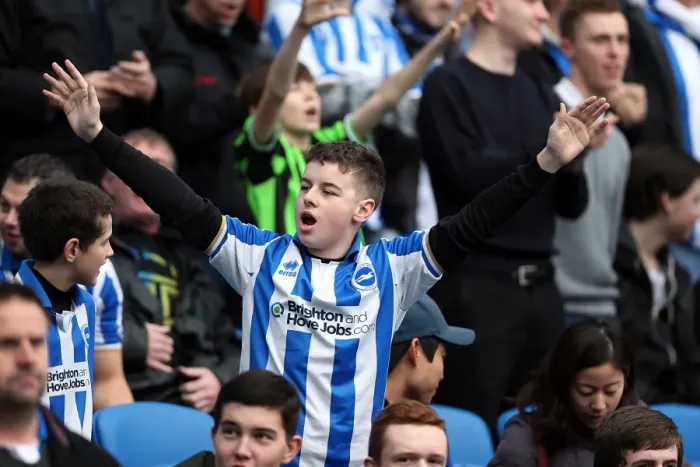 Framed Print : Brighton & Hove Albion vs. Newcastle United (05-01-2013): A Peek into the 2012-13 Home Season Framed Print : Brighton & Hove Albion vs. Newcastle United (05-01-2013): A Peek into the 2012-13 Home Season