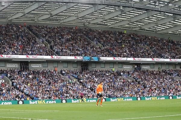 Brighton and Hove Albion vs. Newcastle United: Premier League Battle at American Express Community Stadium (September 2017)