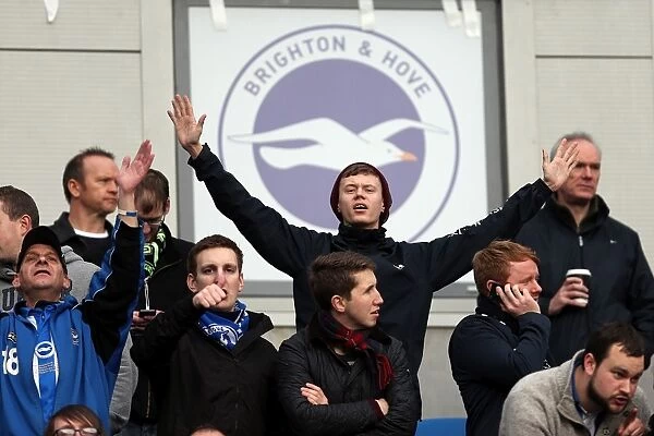 Brighton & Hove Albion vs. Newcastle United (05-01-2013) - A Glimpse into Our 2012-13 Home Season