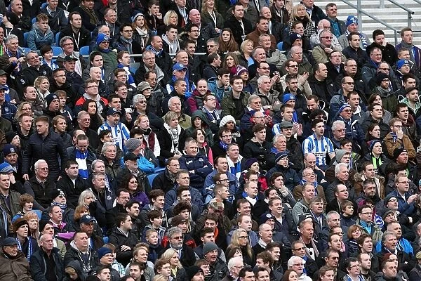 Brighton & Hove Albion vs. Newcastle United (05-01-2013): A Nostalgic Look Back at the 2012-13 Home Season