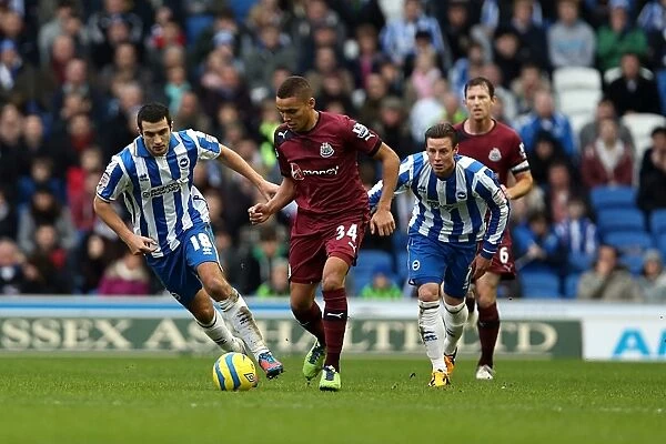 Brighton & Hove Albion vs. Newcastle United (05-01-2013): A Peek into the 2012-13 Home Season