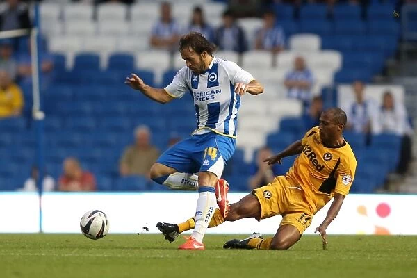 Brighton & Hove Albion vs Newport County AFC: 2013-14 Home Game Highlights (6-8-2013)