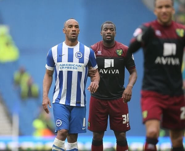 Brighton & Hove Albion vs Norwich City: Chris O'Grady's Action-Packed Performance in the Sky Bet Championship Clash (April 2015)