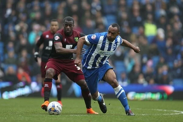 Brighton and Hove Albion vs Norwich City: Chris O'Grady in Action during the Sky Bet Championship Clash (03APR15)