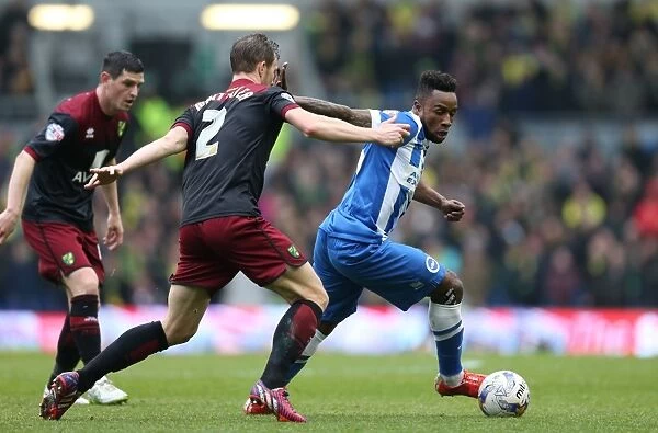 Brighton & Hove Albion vs Norwich City: Kazenga LuaLua's Thrilling Performance (3rd April 2015)