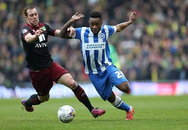 Brighton & Hove Albion vs Norwich City: Kazenga LuaLua's Action-Packed Performance in the Sky Bet Championship (3rd April 2015)