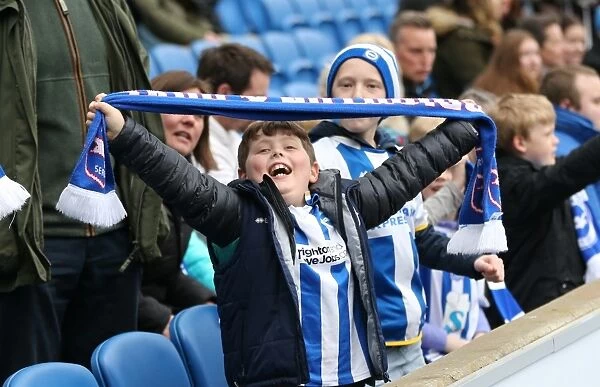 Brighton and Hove Albion vs. Norwich City: Passionate Fan Moment at the American Express Community Stadium (3rd April 2015)