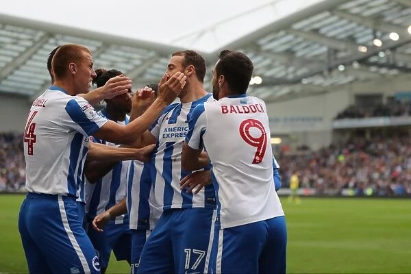 Brighton and Hove Albion vs. Norwich City: A Fierce EFL Sky Bet Championship Clash at the American Express Community Stadium (29OCT16)