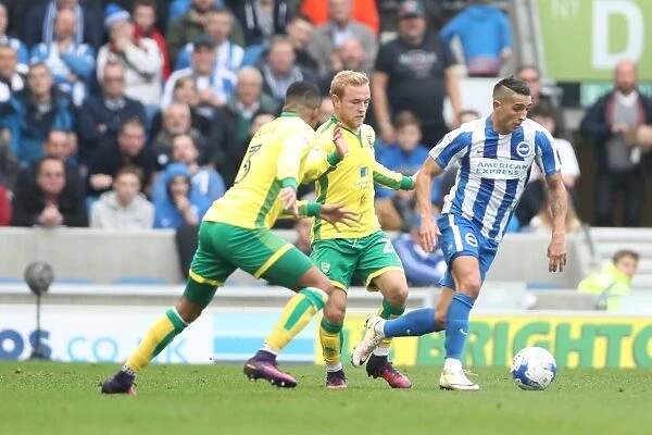Brighton and Hove Albion vs. Norwich City: A Championship Battle at American Express Community Stadium (29Oct16)