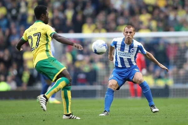Brighton and Hove Albion vs. Norwich City: A Fierce EFL Sky Bet Championship Clash at the American Express Community Stadium (29OCT16)