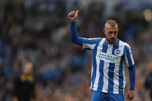 Brighton and Hove Albion vs. Norwich City: A Fight in the EFL Sky Bet Championship (29th October 2016)