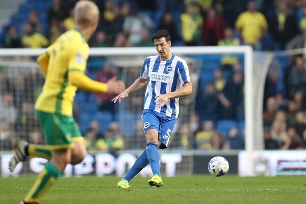 Brighton and Hove Albion vs. Norwich City: A Championship Battle at American Express Community Stadium (October 29, 2016)