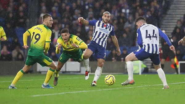 Brighton and Hove Albion vs. Norwich City: Premier League Showdown at American Express Community Stadium (November 2, 2019)