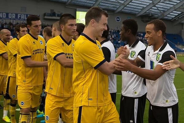 Brighton & Hove Albion vs Norwich City: 2013 Pre-Season Clash - Brighton's 2013-14 Campaign Kickoff